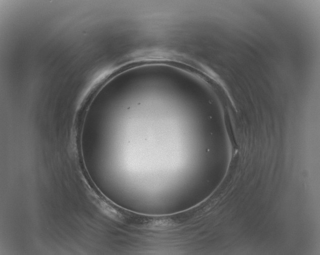 X0000054361464200508051516