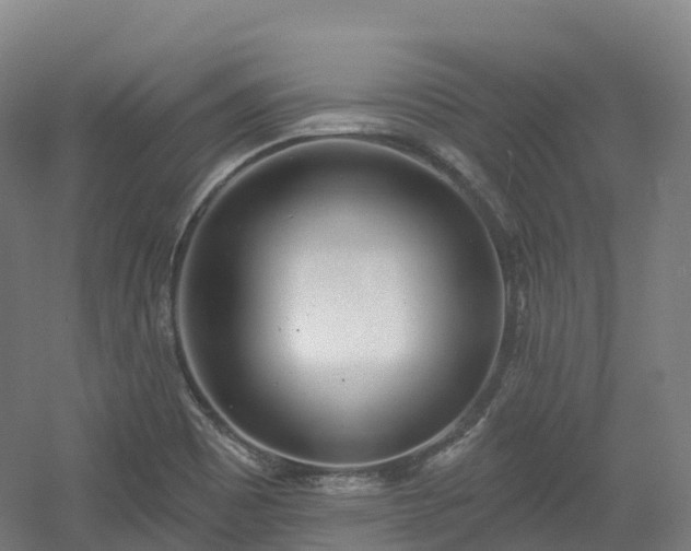 X0000054361465200508051516
