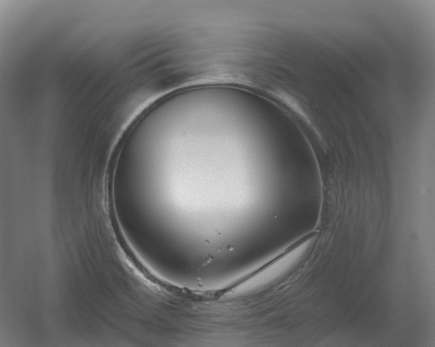 X0000054361468200508051516