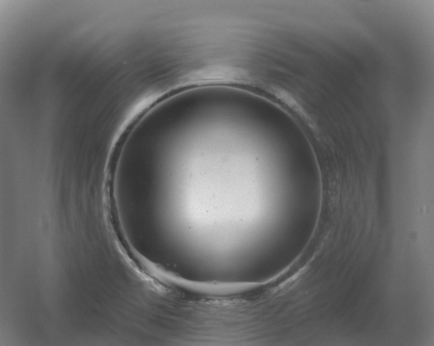 X0000054361469200508051516