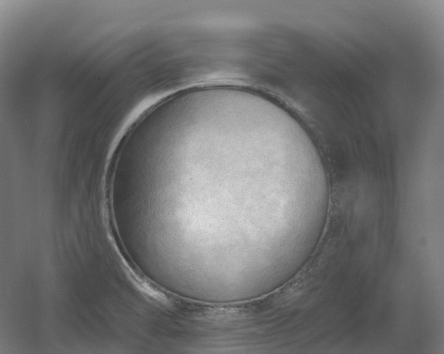 X0000054361470200508051516