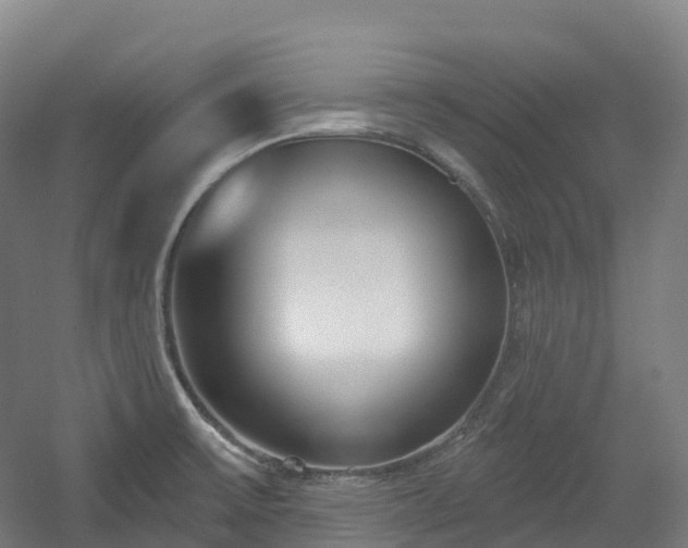 X0000054361475200508051516