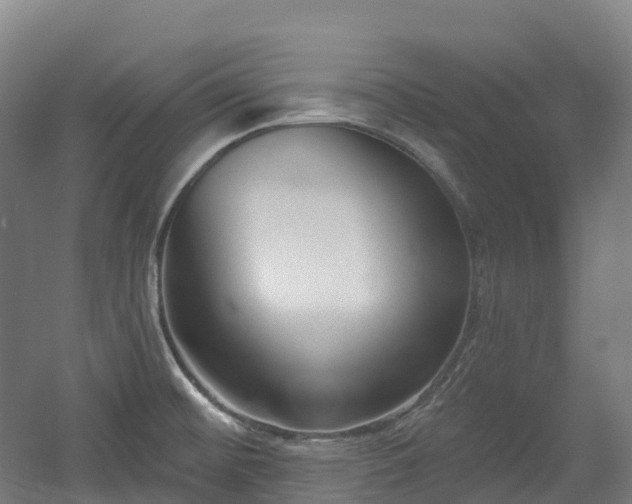 X0000054361476200508051516