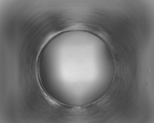 X0000054361478200508051516