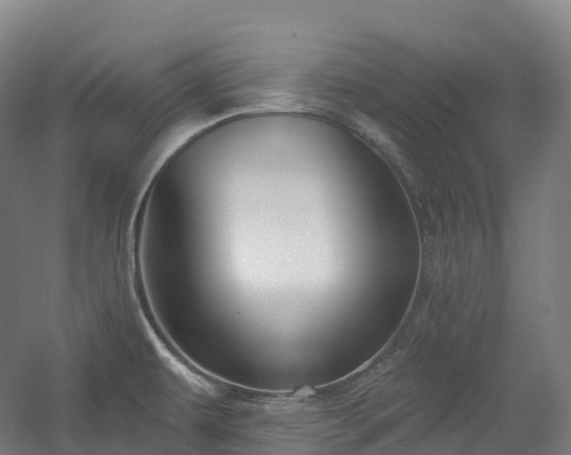 X0000054361479200508051516