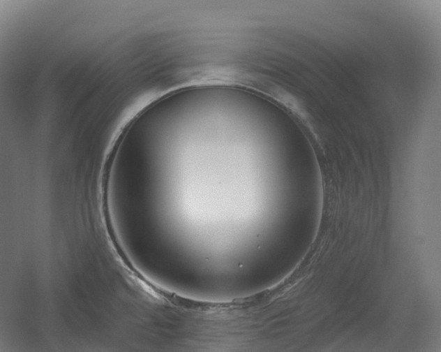 X0000054361480200508051516