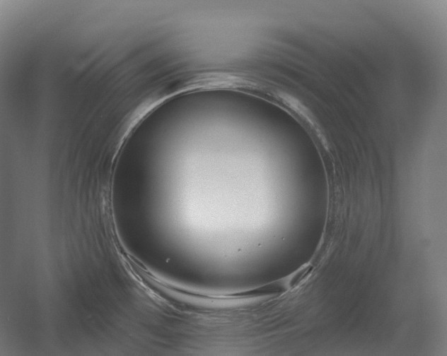 X0000054361481200508051516