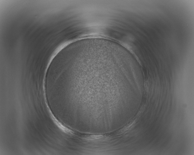 X0000054361482200508051516