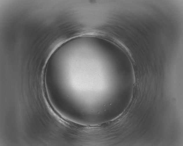 X0000054361483200508051516