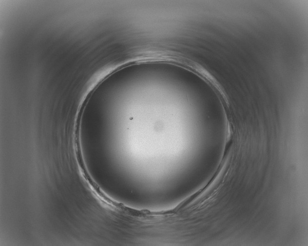 X0000054361485200508051516