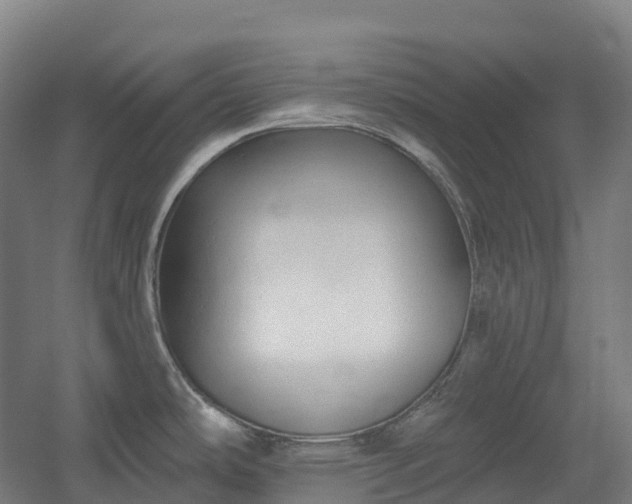 X0000054361486200508051516