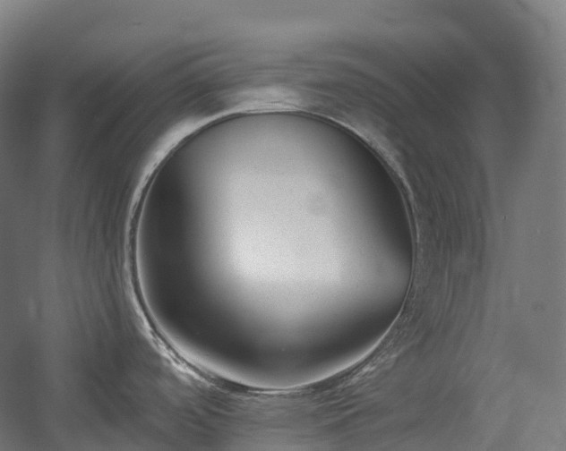 X0000054361488200508051516