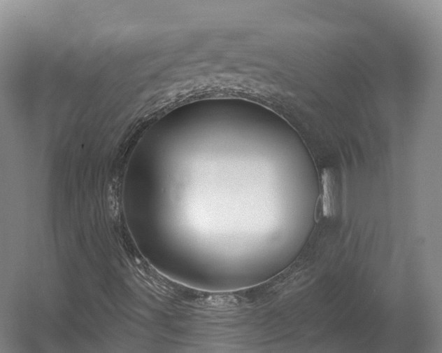 X0000054361491200508051515