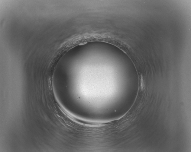 X0000054361492200508051515