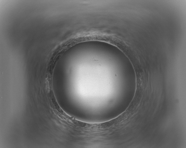 X0000054361493200508051515