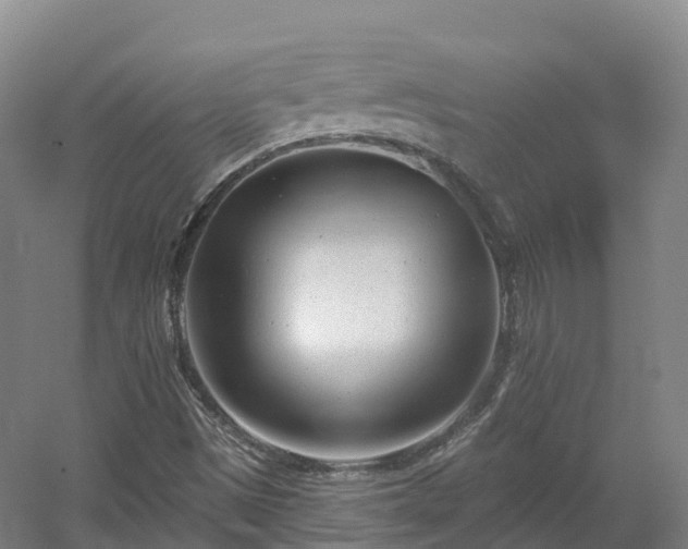 X0000054361497200508051515