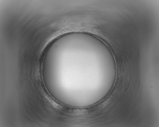 X0000054361498200508051515