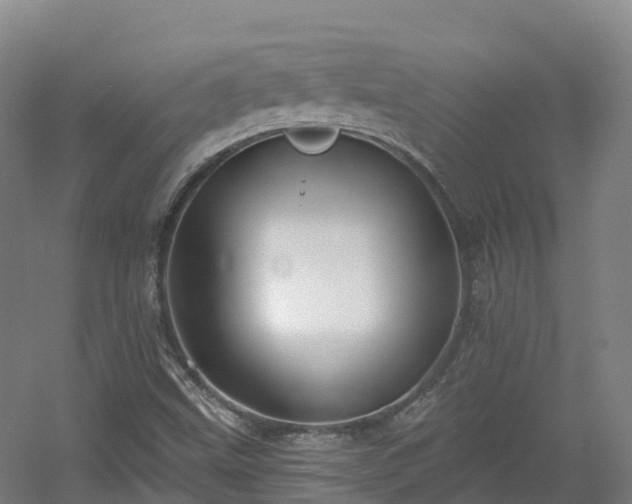 X0000054361499200508051515