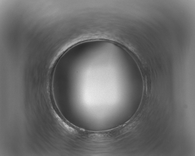 X0000054361500200508051515