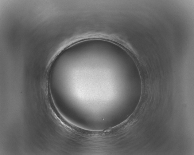 X0000054361504200508051515
