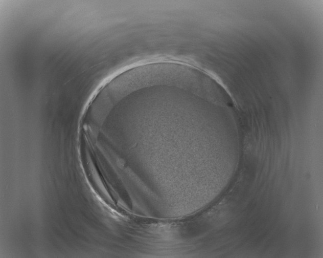 X0000054361508200508051515
