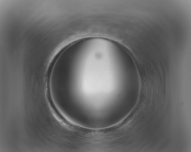 X0000054361511200508051515