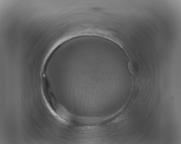 X0000054361515200508051516