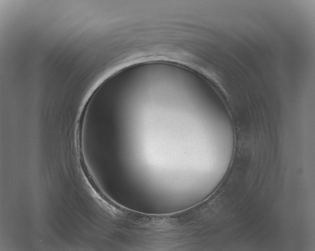X0000054361516200508051516