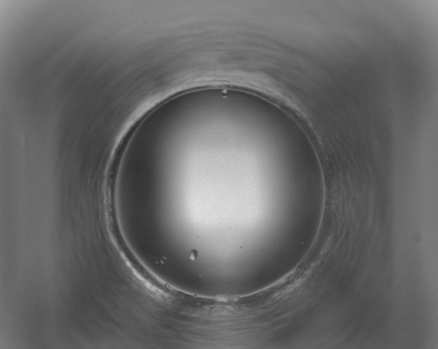X0000054361517200508051516