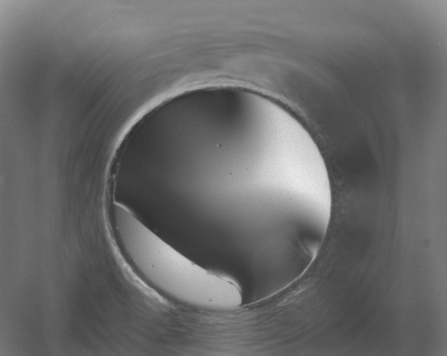X0000054361518200508051516