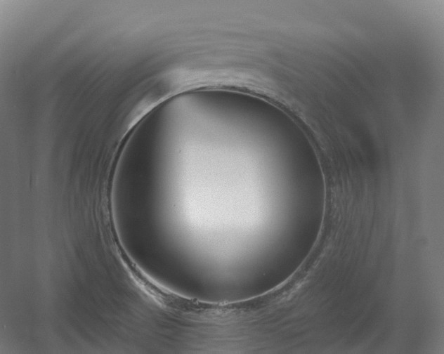 X0000054361521200508051516