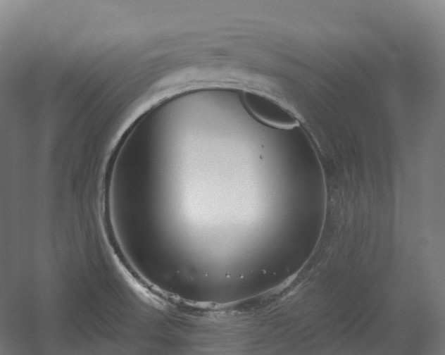 X0000054361523200508051516