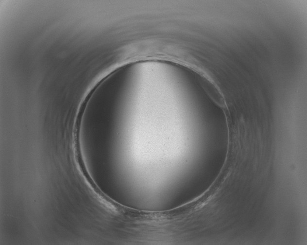 X0000054361525200508051516