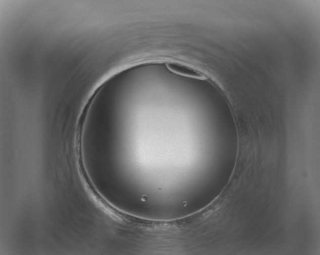 X0000054361526200508051516