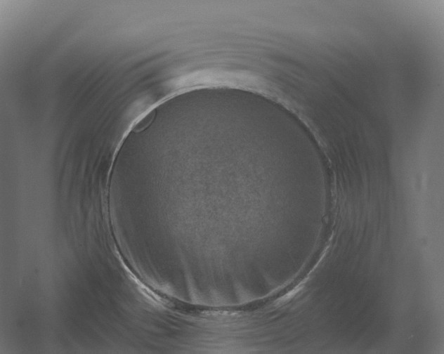 X0000054361529200508051516