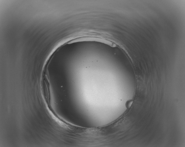 X0000054361531200508051516