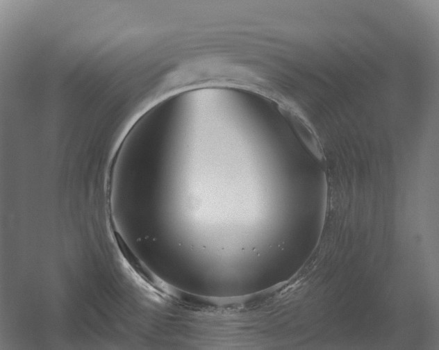 X0000054361532200508051516