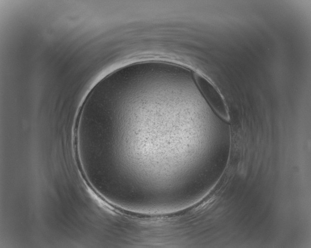 X0000054361535200508051516