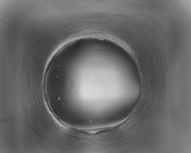 X0000054361536200508051516