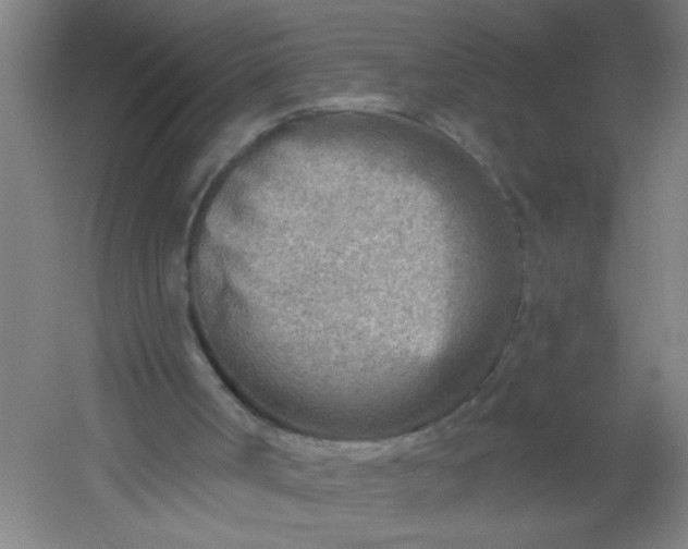 X0000054360002200508121526