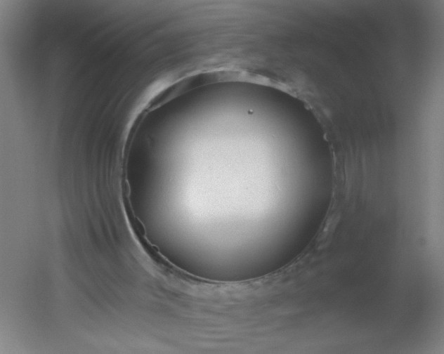 X0000054360003200508121526