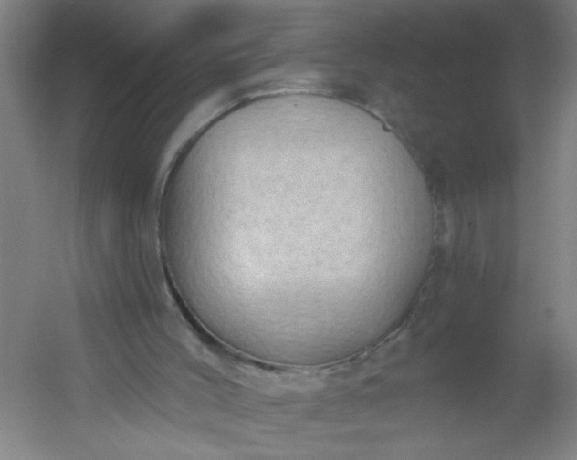 X0000054360004200508121526