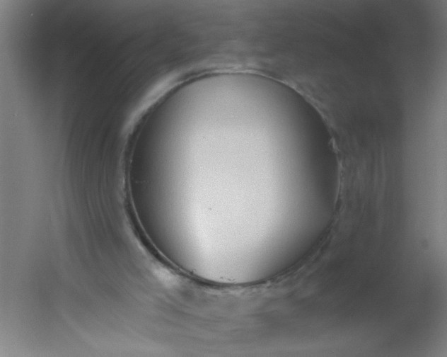 X0000054360005200508121526