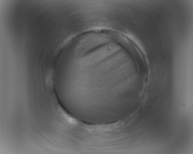 X0000054360009200508121526