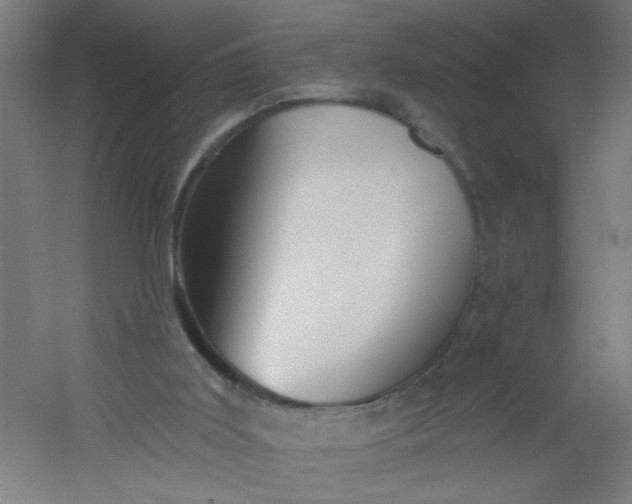 X0000054360011200508121526