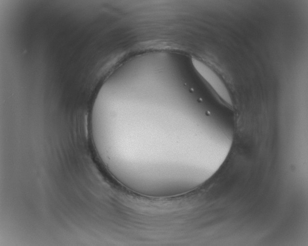 X0000054360014200508121526