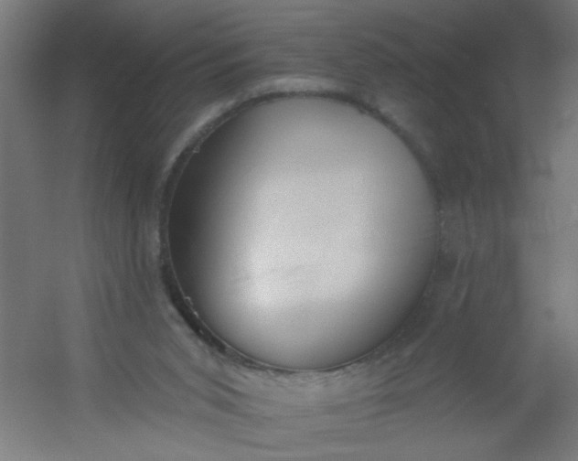 X0000054360015200508121526
