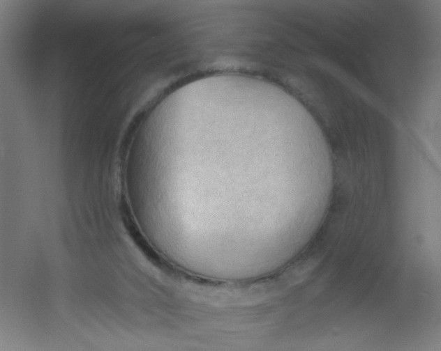 X0000054360016200508121526