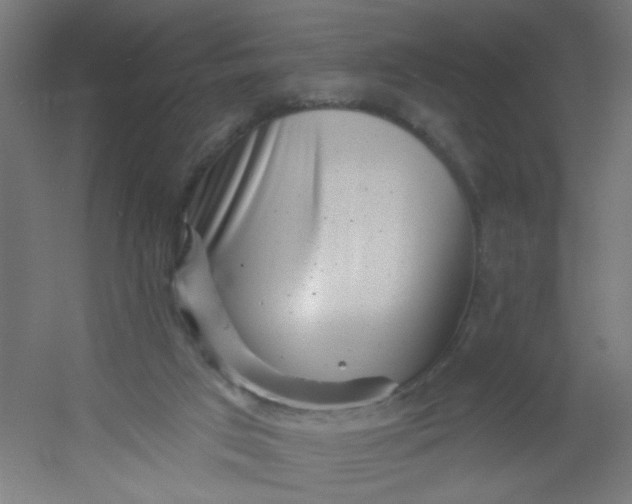 X0000054360017200508121526