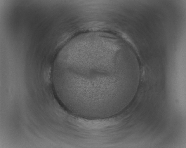 X0000054360018200508121526